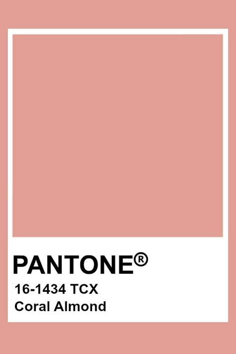 Pantone Coral Almond Almond Color Palette, Pink Pantone, Salmon Colour, Coral Pantone, Pantone Tcx, Pantone Color Chart, Pantone Swatches, More Self Love, Pantone Palette