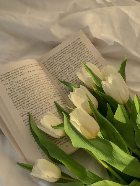 Tulip And Book Aesthetic, White Tulips Wallpaper, White Tulips Aesthetic, Tulips Aesthetic, Black Flowers Wallpaper, Camera Cutout, Album Cover Wallpaper Collage, The Best Wallpapers, Whatsapp Wallpaper Cute