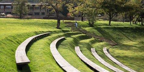 wild garden + amphitheater by z'scape enliven chinese hotel site Amphitheater Architecture, Chinese Hotel, Wetland Park, Garden Site, Alpine Garden, Lijiang, Outside Activities, Wild Garden, Landscape Elements