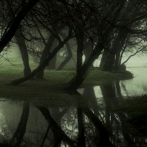 Gloomy Garden Aesthetic, Wide Photos Aesthetic, Fantasy Asthetics Photos, Forest Astethic, Dark Woodland Aesthetic, Dark Enchanted Forest Aesthetic, Let Go Ark Patrol Vibe, Oh Who Is She Aesthetic, Rain Background Aesthetic