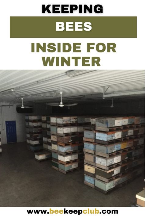 Indoor Honey Bee Hive, Feeding Bees In Winter, Apiary Design, Acreage Ideas, Backyard Bees, Honey Bee Farming, Bee Hives Diy, Bee Farming, Feeding Bees