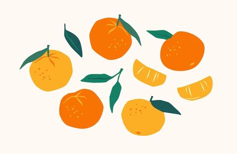 Lime Vector, Fruit Clipart, Fruit Orange, Plant Vector, Fruit Illustration, Dog Vector, Citrus Fruits, Orange Art, Clipart Design