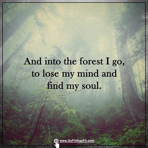 Into the forest i go, to lose my mind and find my soul. <gofitstayfit.com> Forest Quotes, Into The Forest I Go, Forest Bathing, Into The Forest, All Who Wander, Nature Quotes, Lose My Mind, Poetry Quotes, Positive Thinking