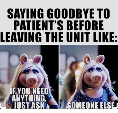 Fifteen Nurse Memes For The True Heroes - Memebase - Funny Memes Cna Humor, Hospital Humor, Medical Memes, Nurse Jokes, Healthcare Humor, Nursing School Humor, Funny Nurse Quotes, Nurse Rock, Student Humor