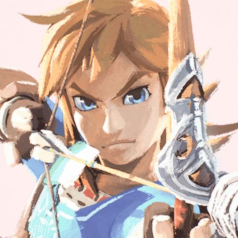 Botw Link Icon, Link Icon, Botw Link, The Legend Of Zelda, Legend Of Zelda, Zelda