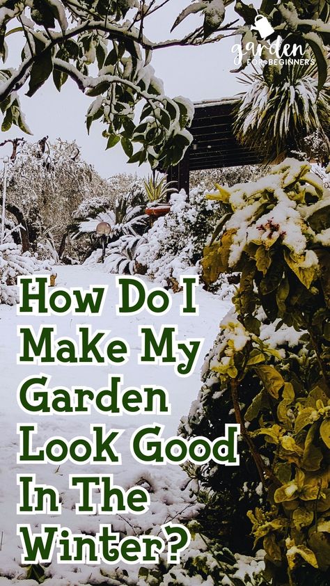 One of the questions that gardeners often ask is how to make their garden look good in the winter. While it is true that the plants in a garden will not be as lush and green during the winter months, things can still be done to improve the appearance of a garden. Winter Garden Aesthetic, Garden For Beginners, Garden Winter, Winter Gardening, Winter Gardens, Winter Crops, Winter Cottage, Greenhouse Gardening, Gardening For Beginners