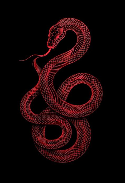 Gold Snake Wallpaper, Snake Poster Design, Red Snake Wallpaper, Red Snake Aesthetic, Japanese Snake Art, Viper Aesthetic, Snake Art Design, Snakes Aesthetic, Medusa Illustration