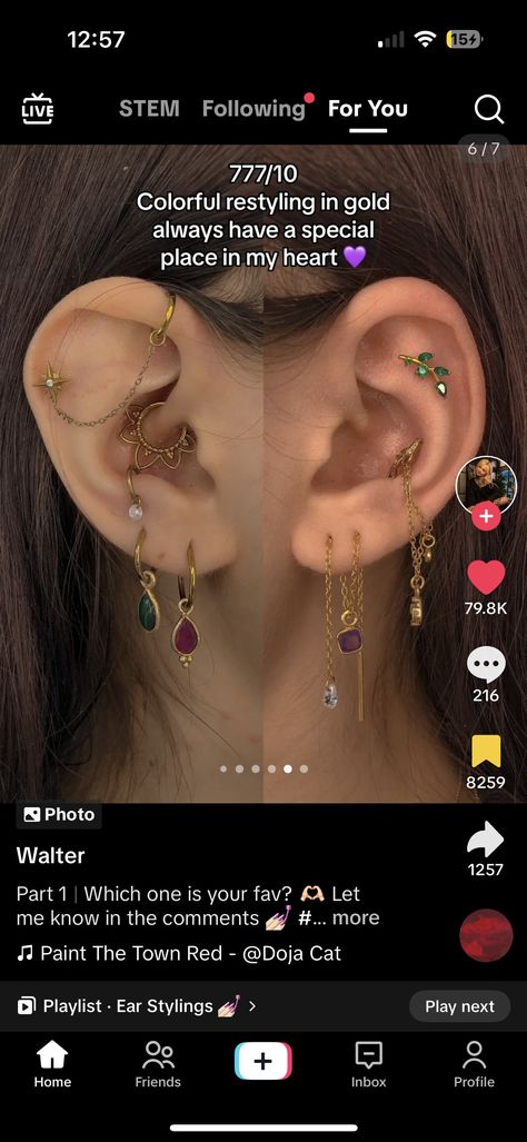 Unique Ear Piercings, Types Of Ear Piercings, Pretty Ear Piercings, Cool Piercings, Ear Style, Industrial Piercing, Types Of Piercings, Septum Jewelry, Ear Stack