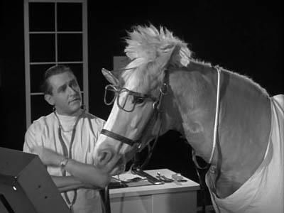 Mr. Ed was a TV star whose real name was Bamboo Harvester. He was a mixed blood palomino.  There are conflicting stories about his passing. What is the mystery of Mr.Ed?? V Tv Show, Mr Ed, Mister Ed, Horse Movies, Farm Images, Majestic Horses, Famous Horses, The Lone Ranger, Classic Television