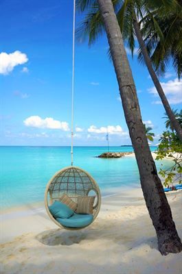 09-Relaxing-Beach Tropical Beach, Blue Water, Hammock, The Beach, Water, Blue