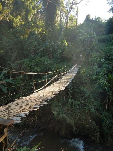 Mexico Jungle Aesthetic, Jungle Adventure Aesthetic, South American Jungle, Jungle Asethic, National Geographic Aesthetic, Jungle Explorer Aesthetic, Jungle Castle, Jungle Architecture, Jungle Mountains