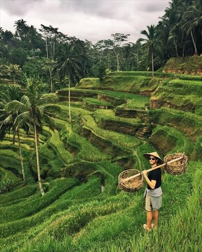 Tegalalang Rice Terrace, Bali Travel Photography, Adam Gallagher, Voyage Bali, Bali Island, Garden Wedding Venue, Rice Terraces, British Airways, Bali Travel