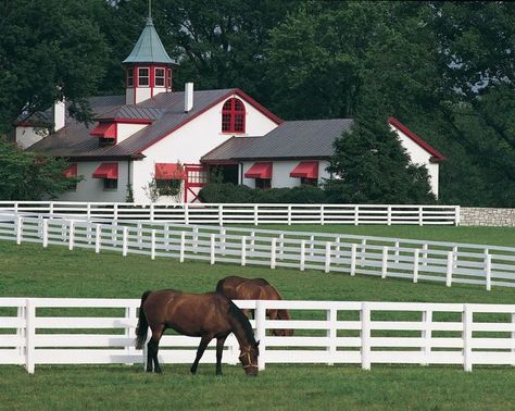 Calumet Farm in Lexington Kentucky Horse Farms, Run For The Roses, Barrel Horse, My Old Kentucky Home, Horse Trailers, Derby Day, Clothing Gifts, Horse Stables, Lexington Ky