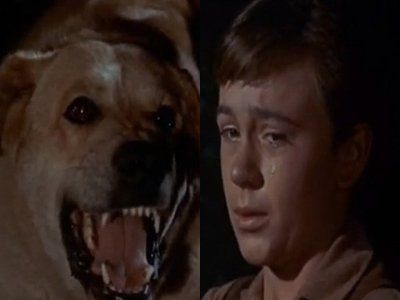 Old Yeller Dog | Old Yeller" (1957) Literature Unit Studies, Old Yeller, Dog Movies, Moments Quotes, Mouse House, Movie Moments, Fav Movies, Meeting Place, Old Tv Shows