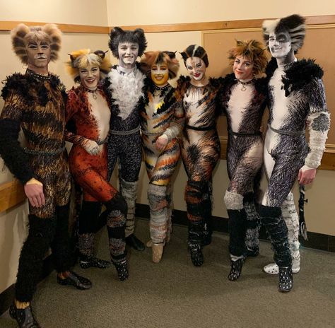 Cats Musical Costume, Bachelorette Powerpoint, Cats The Musical Costume, Cats Poses, Cottage Cat, Musical Theatre Costumes, Jellicle Cats, Cats The Musical, Musical Costumes