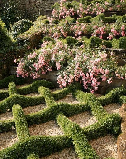 Knot Garden, Parterre Garden, Boxwood Garden, Garden Hedges, Topiary Garden, Flowers And Greenery, Formal Garden, Formal Gardens, Gorgeous Gardens