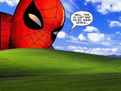 Funny Desktop Wallpaper, Funny Computer Backgrounds, Phone Backgrounds Funny, Spider Suit, Spider Man Wallpaper, Wallpaper Windows, Funny Lock Screen Wallpaper, Funny Computer, Spiderman Funny