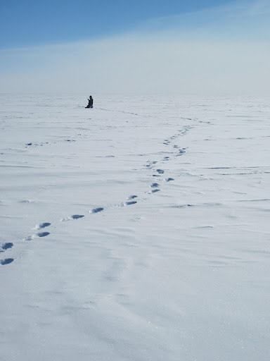 Living and Working in Antarctica - what life is like on the Amundsen-Scott South Pole Station | #workabroad #adventure #antarctica #southpole Antarctic Aesthetic, Antarctica Landscape, Mars Settlement, Snowy Places, Iron Bull, Ross Island, Cosmic Microwave Background, Paper Blue, Terra Nova