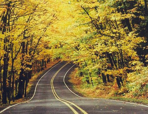 10 Incredible Driving Roads in the USA • Gear Patrol Fall Foliage Map, Fall Foliage Road Trips, Tennessee Road Trip, Fall Getaways, Leaf Peeping, Scenic Roads, Autumn Scenery, Fall Leaf, On The Road Again