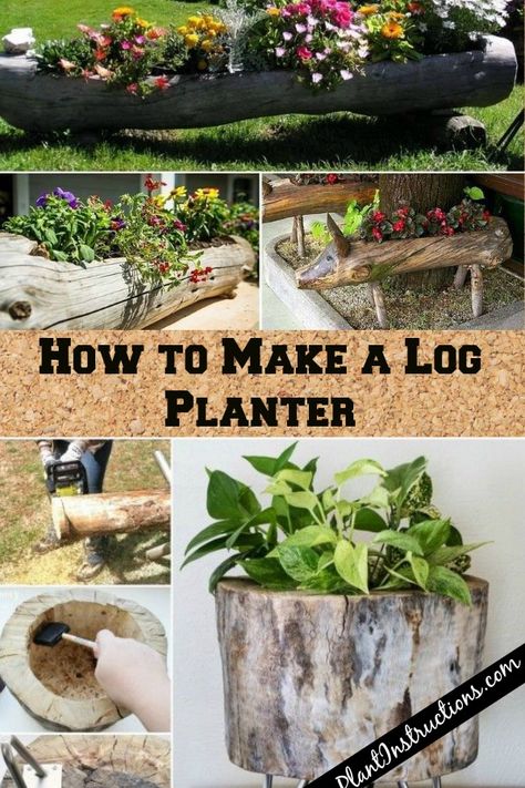 How to Make a Log Planter Hollow Log Ideas Diy, Log Planters, Log Garden, Stump Planter, Landscaping Patio, Tree Stump Planter, Wood Succulent Planter, Log Ideas, Log Projects