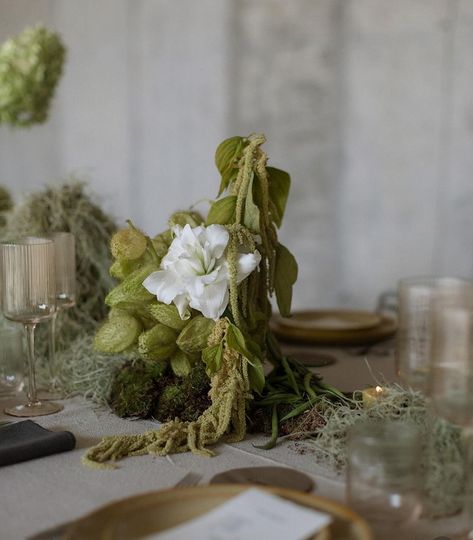 The textures, the detail, the colour pairing. Incredible! 🤌🏽 Photos: @ninawernicke WP & Styling: @studiomarieta_wp Florist: @bestdayever_es Stationery & Signage: @jdnpaper Venue: @lafinka4.1 Bridal fashion: @annikamaria_official Colour Pairing, Color Pairing, Bridal Fashion, Best Day Ever, The Colour, Bridal Style, Florist, Stationery, The Incredibles