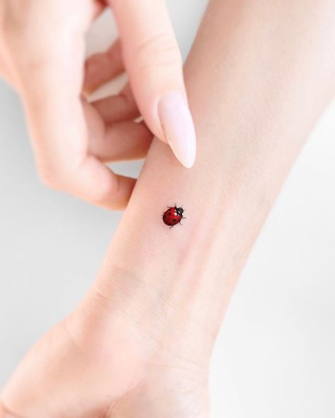 Ladybug Tatoos Ideas, Realistic Ladybug Tattoo, Ladybug Tattoo Black And White, Dainty Ladybug Tattoo, Ladybug Tattoo Design, Tattoo Ladybug, Ladybug Tattoo Ideas, Ladybird Tattoo, Wrap Around Ankle Tattoos