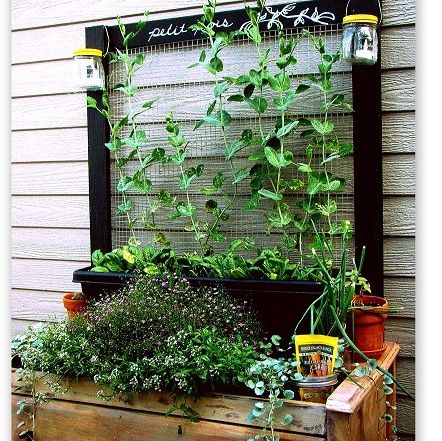 Find out how you can use chicken wire to add some style to almost any part of your home. Take a look at the best chicken wire projects from our Hometalkers. Trellis Gardening, Old Wooden Ladders, Vertical Garden Systems, Chicken Wire Fence, Vertical Pallet Garden, Chicken Wire Basket, Chicken Wire Crafts, Wire Trellis, Wood Trellis