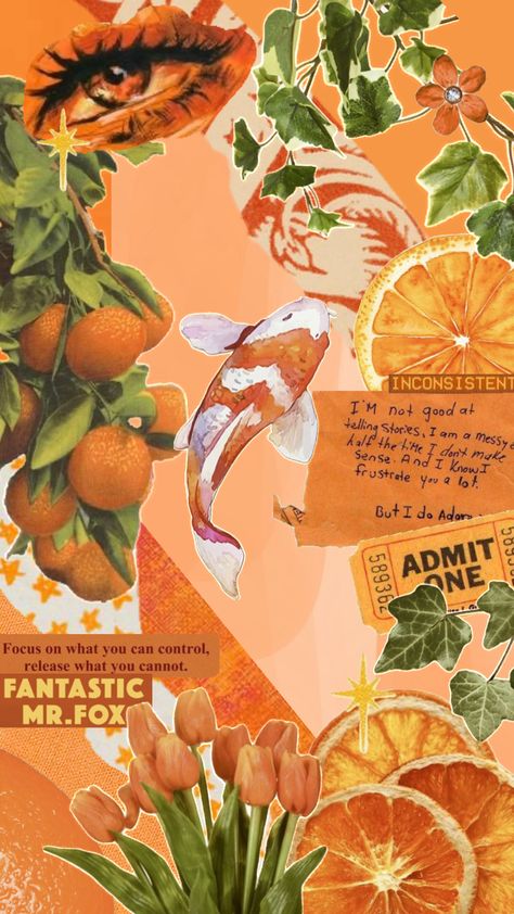 𝕺𝖗𝖆𝖓𝖌𝖊🍊☁️✨ #orange #preppy #fyp #beauty #art #aestheticcore #minf #outfitinspo #soft #collageart #nature #wallpaper #vintage #vibes #quotes #popular #music #love #coquette #shufflefyp #ruhama Orange Aesthetic Ipad Wallpaper, Orange Coquette Wallpaper, Orange Wallpaper Aesthetic Vintage, Soft Orange Aesthetic Vintage, Orange Aesthetic Wallpaper Vintage, Orange Aesthetic Wallpaper Collage, Orange Aesthetic Drawing, Oranges Wallpapers, Soft Orange Aesthetic Wallpaper