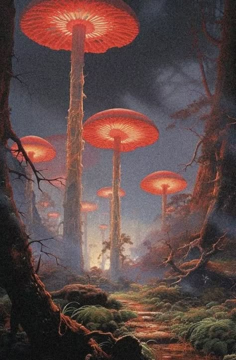 Home / X Dark Fairy Background, Spelljammer Art, Mushroom Pictures, Science Fiction Illustration, Nostalgic Art, Mystical Art, Mushroom Art, Fantasy Aesthetic, Fantasy Concept Art