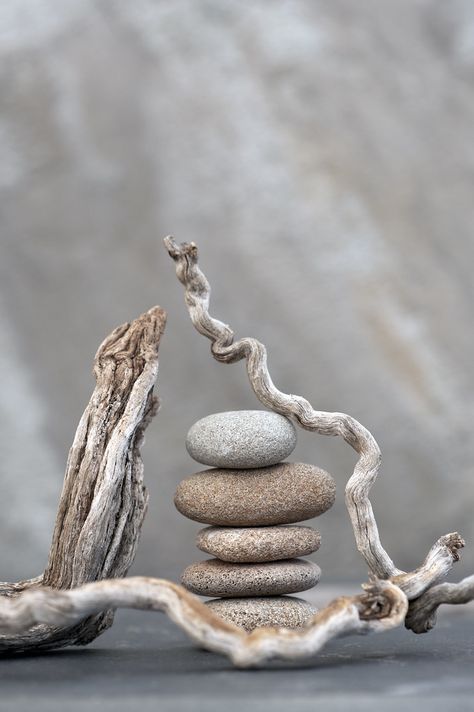 Zen Rules, Rock Balancing, Zen Stones, Driftwood Diy, Driftwood Art Diy, Rock Sculpture, Driftwood Projects, Driftwood Sculpture, Rock And Pebbles