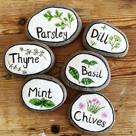 Herb labels/markers hand painted on rocks for in the garden. Painted with acrylics and then varnished over for extra protection! Rock Painting For Garden Plant Markers, Painted Rock Plant Markers, Rock Labels For Garden, Seed Labels Diy Plant Markers, Herb Rock Garden, Painted Rock Garden Markers, Painted Rocks Garden Markers, Plant Labels Ideas, Diy Herb Markers