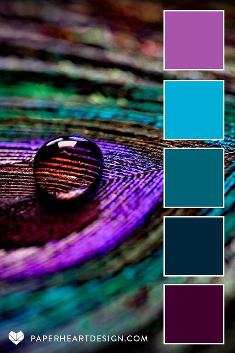 This peacock inspired color palette is part of the Macro Moisture Collection-- perfect for color combos to inspire your next design project, wedding colors, interior design, digital illustration, branding, & more! View hundreds of expertly designed color palettes on our blog! #colorpalette #procreate #colorscheme#color#colourpalette #colorinspiration #interiordesign #graphicdesign #weddingcolors #interiordesign#branding#design #fashion #hexcode #macro #jeweltone #peacock #droplet #feather Feather Color Palette, Maximalist Color Palette, Turquoise Color Combinations, Jewel Tone Color Palette, Palette Design, Color Schemes Colour Palettes, Jewel Tone Colors, Peacock Color, Color Palate