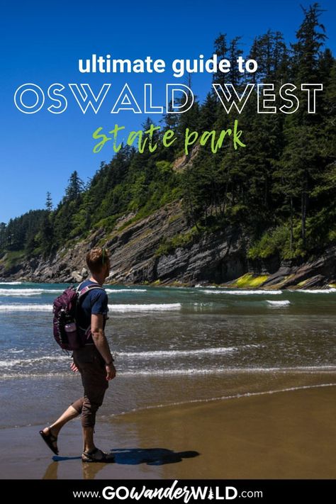 Oswald State Park Oregon, Oswald West State Park Oregon, Checklist Travel, Oregon State Parks, Travel Oregon, Explore Oregon, Sea Cave, Temperate Rainforest, Destinations Travel