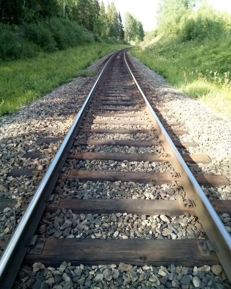 My #Morning #Pathway 🌲🌤️🌿🦆☕️😋🤚 : : : : #insta #instadaily #ınstagood #minnesota #MN #trail #path #travel #monday #holiday #laborday Railway Track Drawing, Holocost Art, Train Tracks Aesthetic, Train Tracks Photography, Monday Holiday, Rail Train, Scenic Railroads, Railroad Photography, Beautiful Images Nature