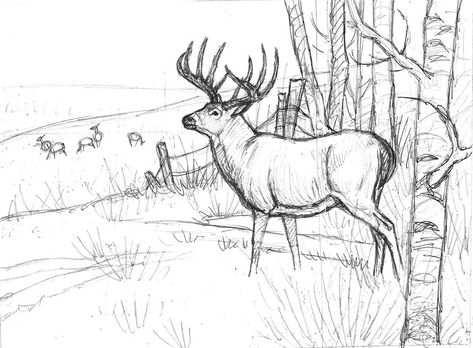 Deer Drawings Easy, Whitetail Deer Drawing, Deer Drawings, Draw Deer, Deer Outline, Bugs Bunny Drawing, Hunting Drawings, Deer Skull Art, Moose Painting