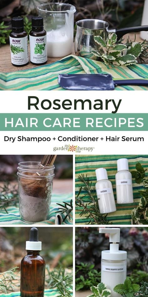 How To Make Your Own Shampoo And Conditioner, Rosemary Shampoo Diy, Rosemary In Shampoo, Diy Hair Conditioner Recipes Natural, Shampoo And Conditioner Recipes, Herbal Shampoo Recipe, Homemade Hair Care, Hair Herbs, Healthy Hair Naturally