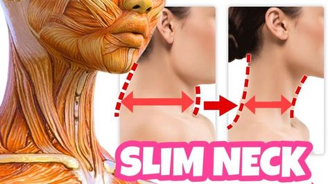 Pin on Health - BA - Chin & Throat Neck Exercise, Face Fat Loss, Double Chin Exercises, Chin Exercises, Face Fat, Slim Neck, Slim People, Massage Therapy Techniques, Face Yoga Facial Exercises