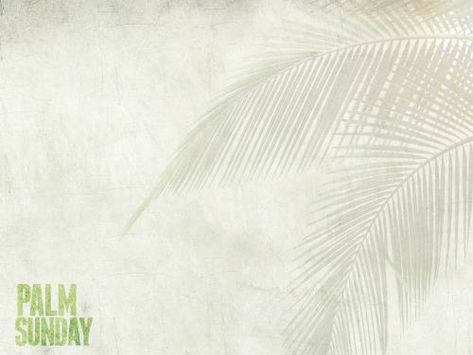 Church Preaching Slide: Palm Fronds - SermonCentral.com Worship Videos, Church Backgrounds, Slide Background, Palm Sunday, Palm Fronds, Holy Week, Power Point, Colorful Wallpaper, Powerpoint Templates