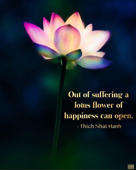 Out of suffering a lotus flower of happiness can open. — Thich Nhat Hanh. @thichnhathanhquotecollective #nomudnolotus #thay #lotus #suffering #flowerofhappiness #happiness #mindfulness #thichnhathanhquotecollective #thichnhathanh #buddhistquotes #thichnhathanhquotes Lotus Flower Quotes Buddha, Lotus Flower Quotes Inspirational, Lotus Sayings, Lotus Quotes Inspiration, Lotus Quotes, Lotus Meaning, Congratulations Messages For Achievement, Lotus Flower Quote, Lotus Quote