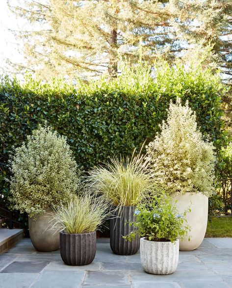 Deck Planters, Large Outdoor Planters, White Ceramic Planter, Potted Plants Outdoor, Fiberglass Planters, Balcony Plants, Patio Planters, Flower Pots Outdoor, Tall Planters