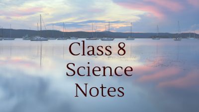 CBSE Notes: Microorganisms: Friend and Foe Class 8 Notes  #Class8ScienceNotes #MicroorganismsFriendandFoeNotesofClass8 Class 8 Science Notes, Class 8 Notes, Crop Production And Management, Economics Notes, Force And Pressure, Science Revision, Physics Teacher, Exam Success, Biology Teacher