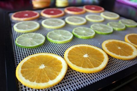 paleo dehydrated orange lemon lime grapefruit Recipe With Limes, Dehydrated Limes In Oven, How To Dehydrate Oranges In Dehydrator, Dehydrated Grapefruit, Dehydrated Citrus Slices, Dehydrate Citrus, Dehydrated Orange Slices, Dehydrated Citrus, Dehydrator Ideas