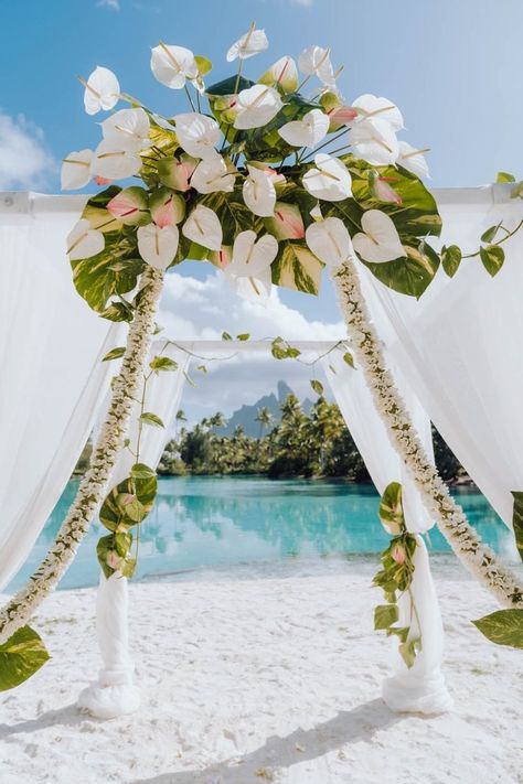 Tropical wedding arch in Bora Bora Bora Bora Proposal, Wedding In Bora Bora, Palawan Wedding, Tropical Wedding Arch, Tahiti Wedding, Bora Bora Wedding, Bamboo Wedding, Beach Place, Caribbean Wedding