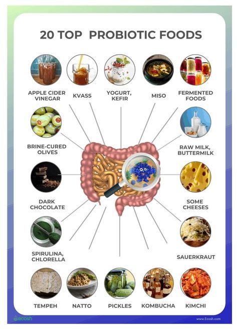 Benefits Of Probiotics, Probiotic Benefits, Prebiotics And Probiotics, Probiotic Foods, Animal Protein, Holistic Nutrition, Healthy Families, Healthy Gut, Digestive Health