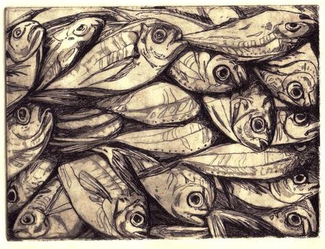 I’m quite positive this is a drypoint technique, due to the extreme detail. Etching Prints Ideas, Fish Etching, Drypoint Printmaking, Drypoint Print, Intaglio Printmaking, Fly Fishing Art, Drypoint Etching, Fishing Art, Sea Life Art