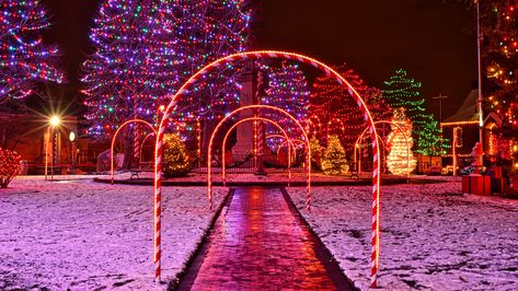 Christmas Drive Way Arch, Diy Christmas Light Arch, Christmas Lights Driveway, Diy Driveway Arch Christmas Lights, Pvc Arch Diy Christmas, Diy Christmas Walkway Arch, Diy Light Archway, Diy Christmas Yard Lights, Christmas Pathway Lights Diy