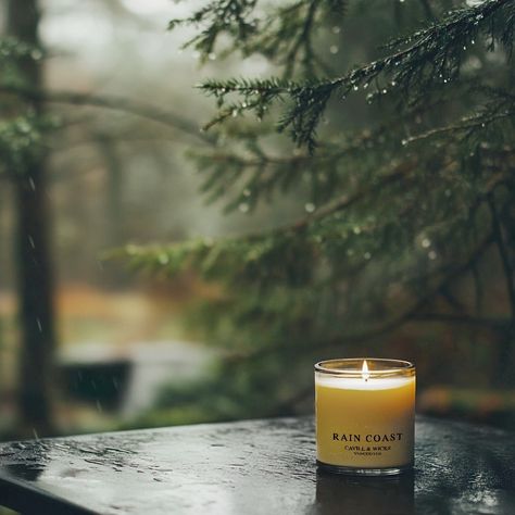 Pluviophile - a person who enjoys rain and rainy days, and who is fascinated by the sights, sounds, and smell of rain. Our Rain Coast candle captures the magical essence of the earth after a refreshing rainfall, where the crisp notes of rain and ozone blend seamlessly with the earthy undertones of moss and cedar. Light this candle and usher in the scent of the earth after a misty rain, where the air is alive with the invigorating freshness that follows a Pacific North West downpour. Av... Misty Rain, Tub Tea, Smell Of Rain, Perfume Diffuser, Classic Candles, Citronella Candles, Fall Scents, Fall Candles, Wooden Wick