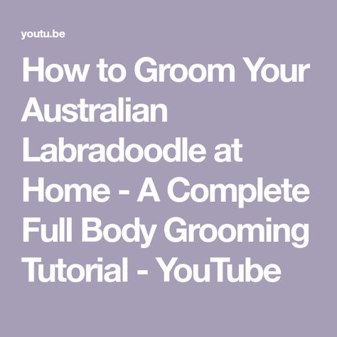 How to Groom Your Australian Labradoodle at Home - A Complete Full Body Grooming Tutorial - YouTube Australian Labradoodle Grooming, Labradoodle Cuts, Labradoodle Grooming, Puppy Haircut, Australian Labradoodle, Labradoodle, Dog Grooming, Best Dogs, Full Body