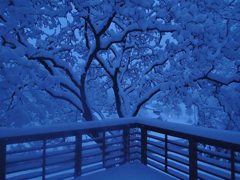 Blue snowy morning - Imgur Light Blue Winter Aesthetic, Blue Winter Aesthetic Wallpaper, Blue Winter Aesthetic, Snowing Aesthetic Wallpaper, Winter Aesthetic Wallpaper, Snow Night, Christmas Tree Wallpaper, Light Blue Aesthetic, Blue Aesthetic Pastel