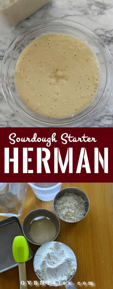 Learn how to make the sweet sourdough starter known as Herman. It is easy to make and can be used to add more flavor in cakes, breads etc. It is the same starter that is used to make Amish friendship bread Amish Sour Dough Stater, Herman Friendship Cake Starter, Herman Friendship Cake, Herman Sourdough Starter Recipes, Friendship Sourdough Starter, Herman Cake Starter, Herman Bread Starter, Amish Sourdough Starter, Sweet Sourdough Starter